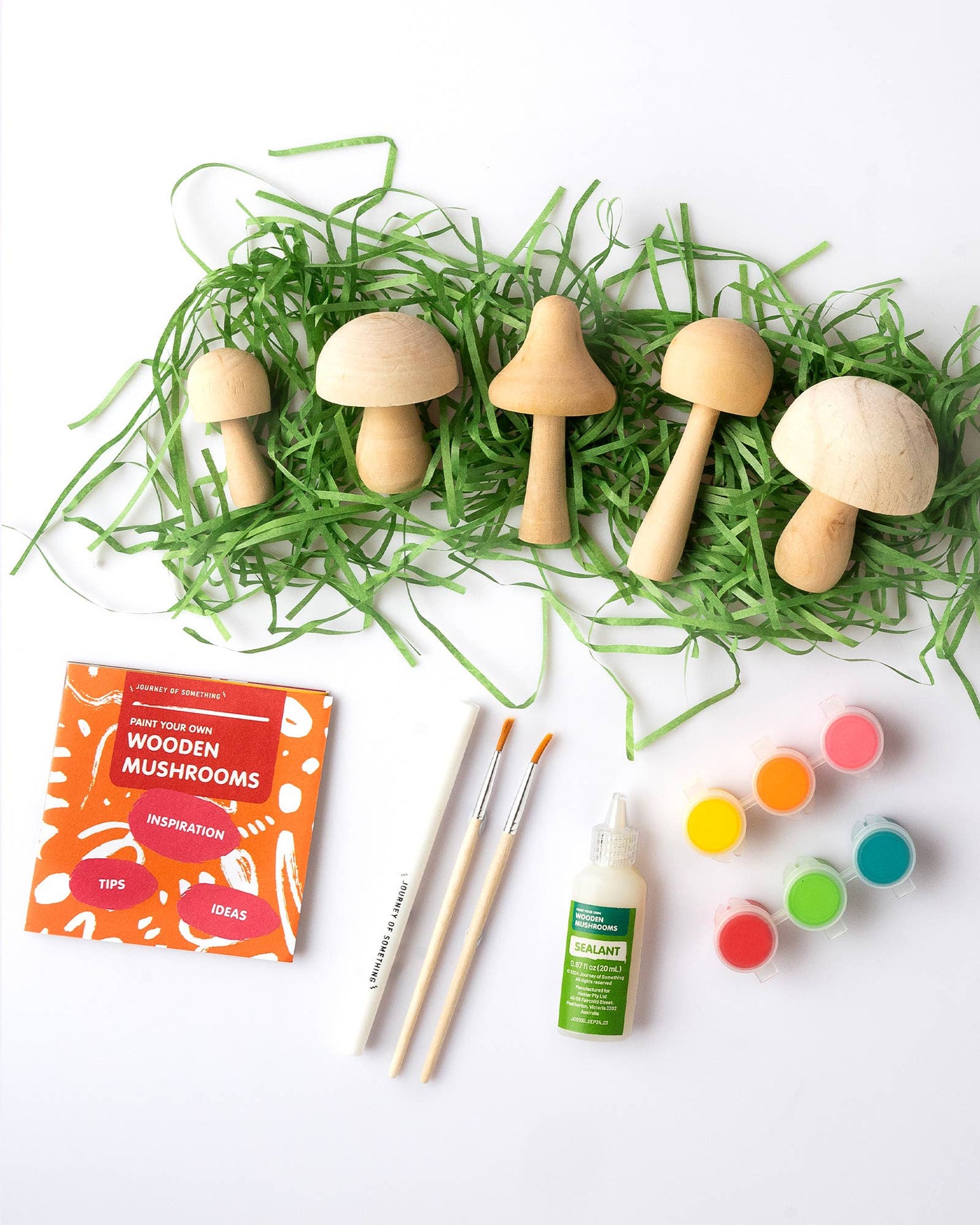Kit pour peindre des champignons en bois - Paint Your Own Wooden Mushrooms - Journey Of Something