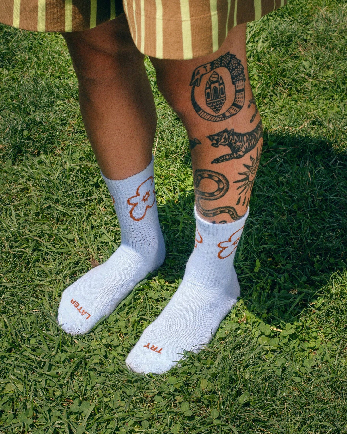 Chaussettes Try Later Socks -Tarta Gelatina