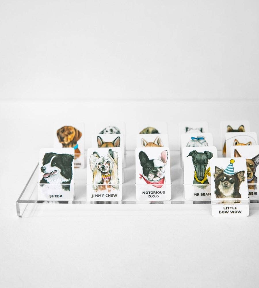 Jeu Devine le Chien? - Guess the Doggy Game - Journey Of Something