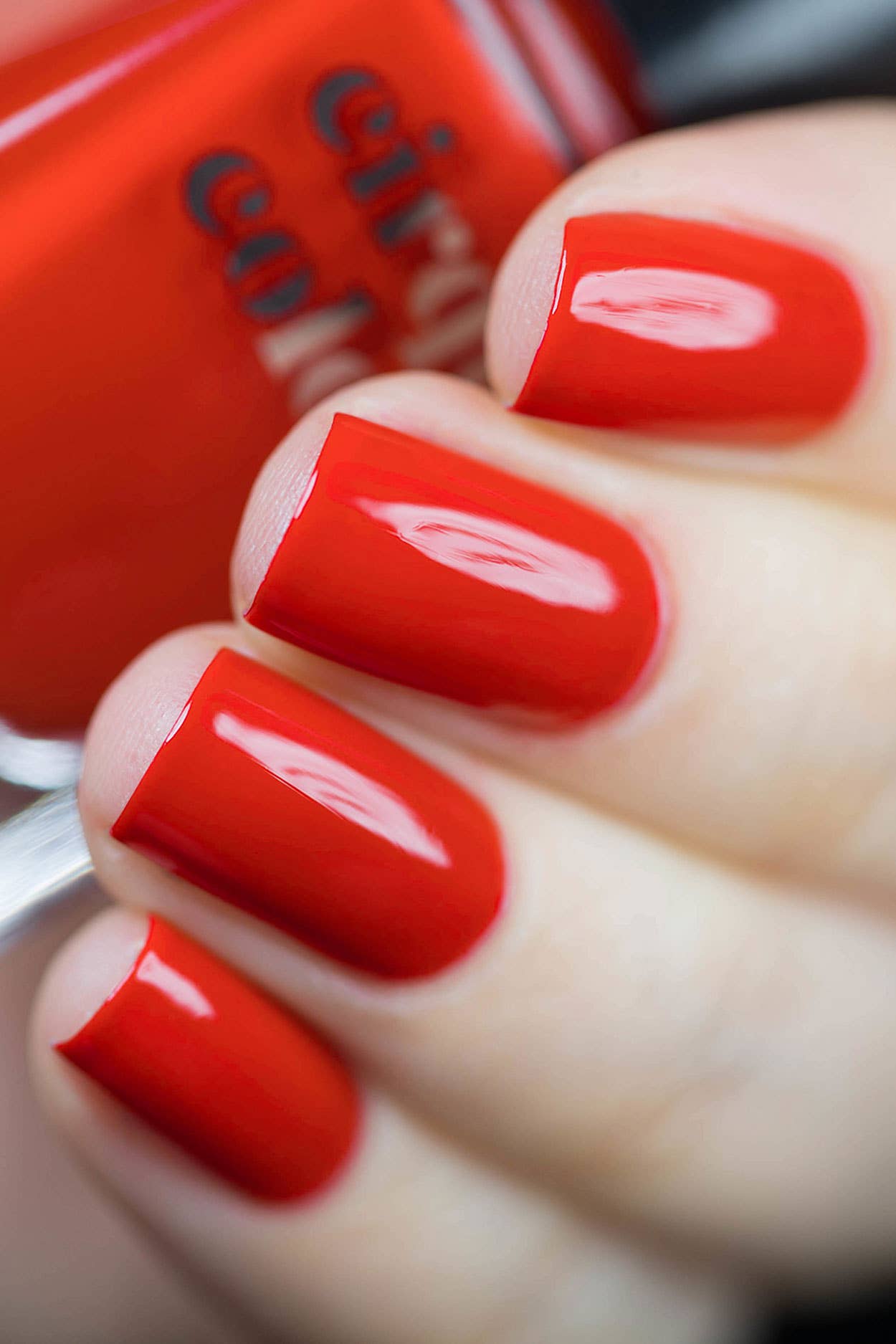 Vernis à ongles Toadstool - Cirque Colors