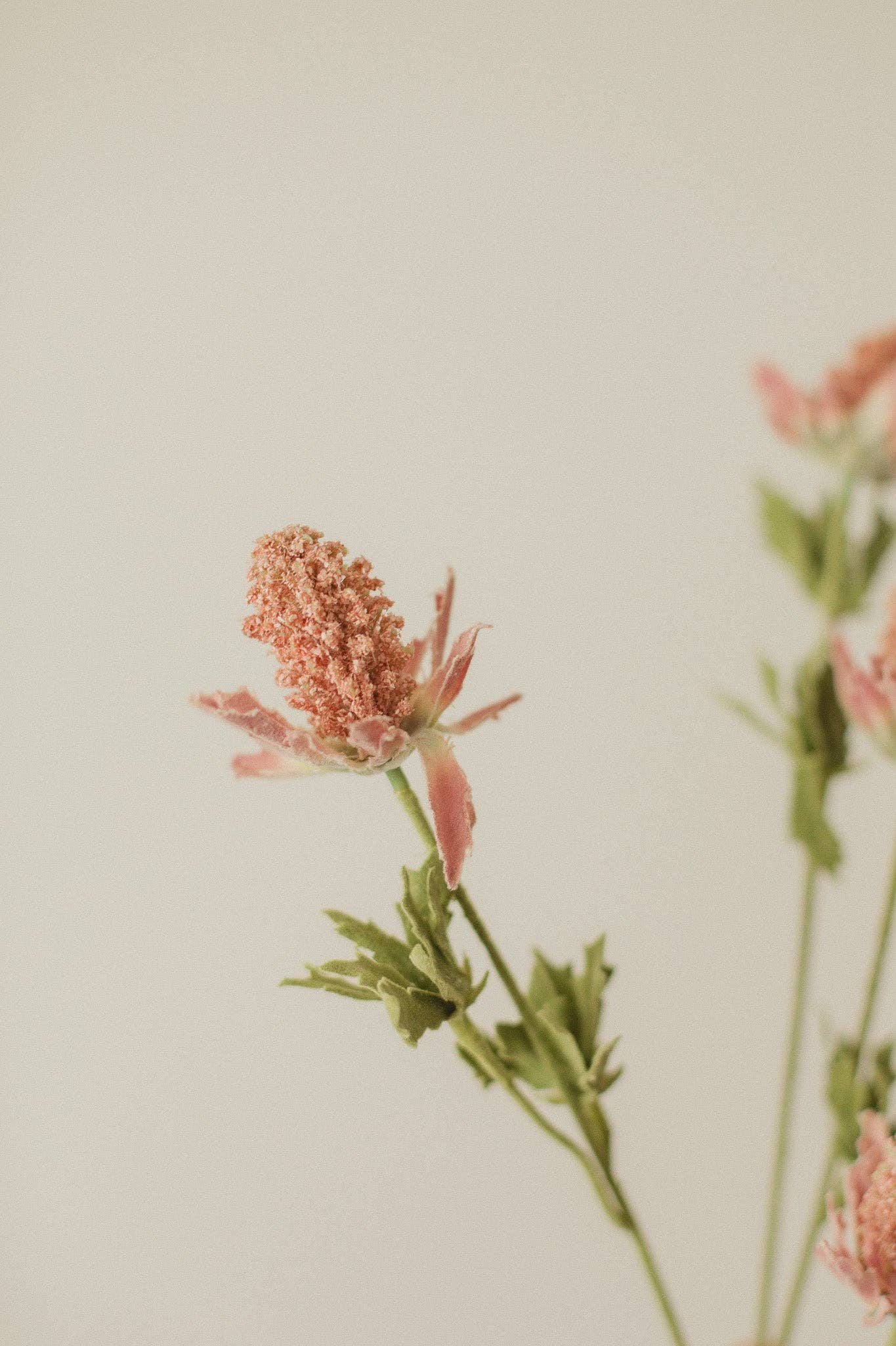 Fleurs artificielles ''chardon-bleu'' Artificial flowers - Eucalypt Co.