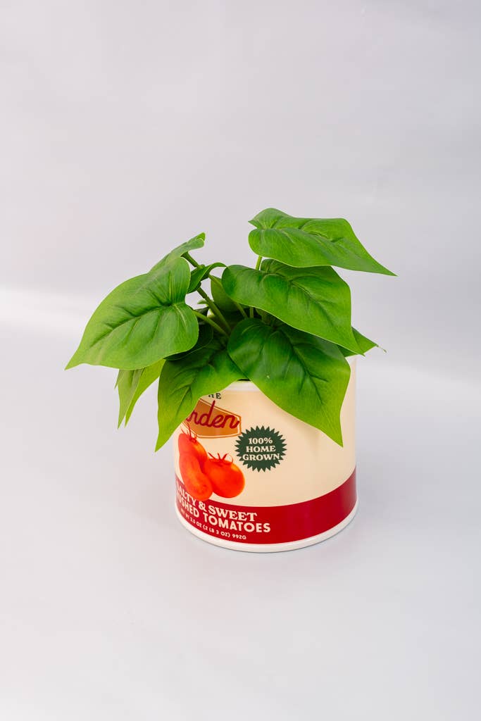 Vase canne de tomates - Tomato Can Ceramic Vase - Ban.do