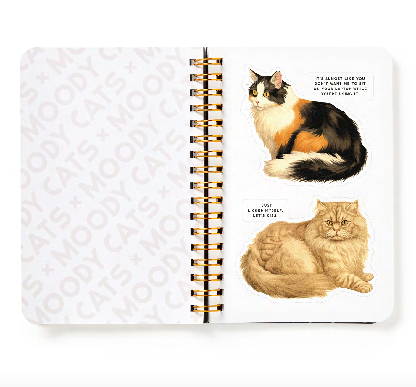 Livres d'autocollants Moody Cats Sticker Book - Brass Monkey