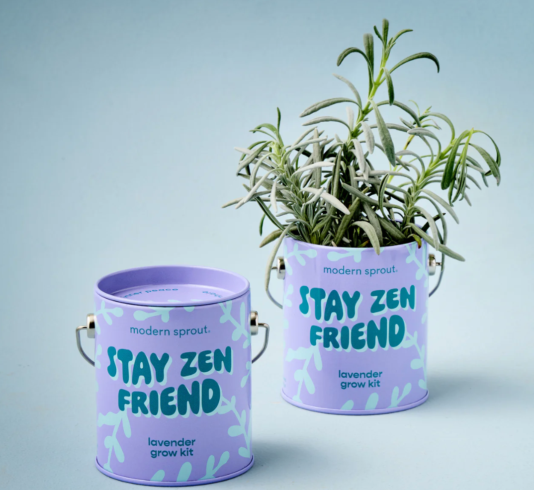 Kits de culture - Modern Sprout