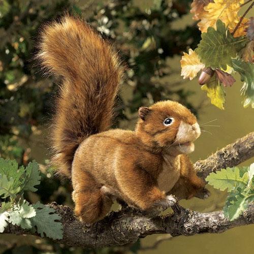 Red Squirrel Écureuil Roux - Folkmanis