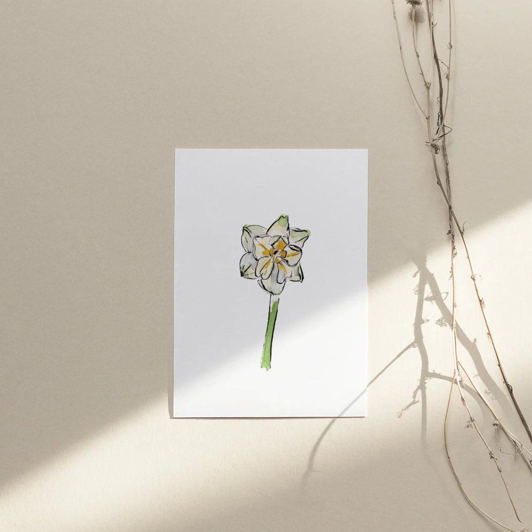 Collection Cartes de souhaits - Muguette Mtl