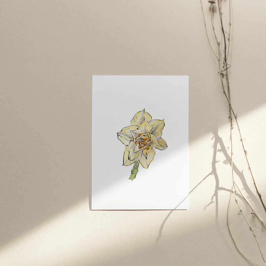 Collection Cartes de souhaits - Muguette Mtl
