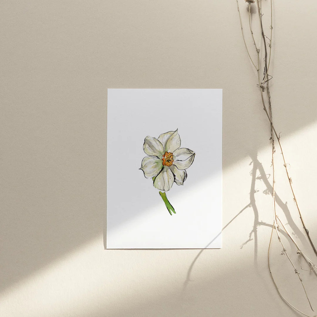 Collection Cartes de souhaits - Muguette Mtl