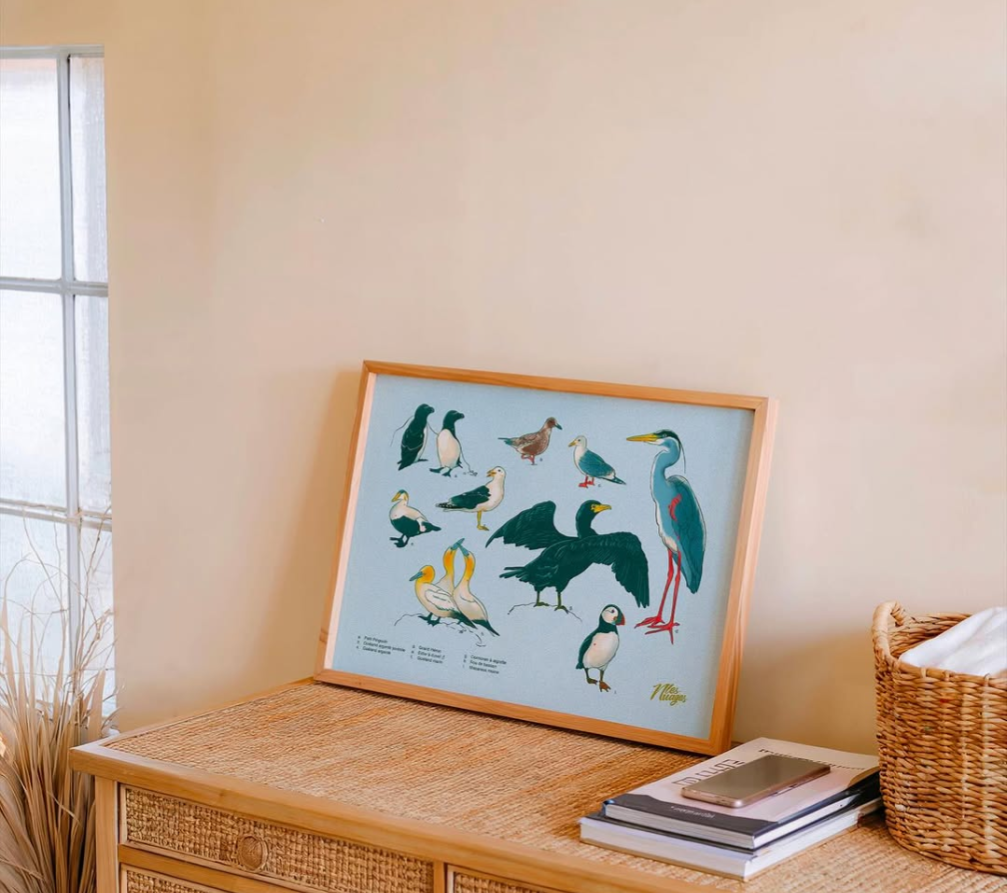 Collection Illustrations - Les Nuages