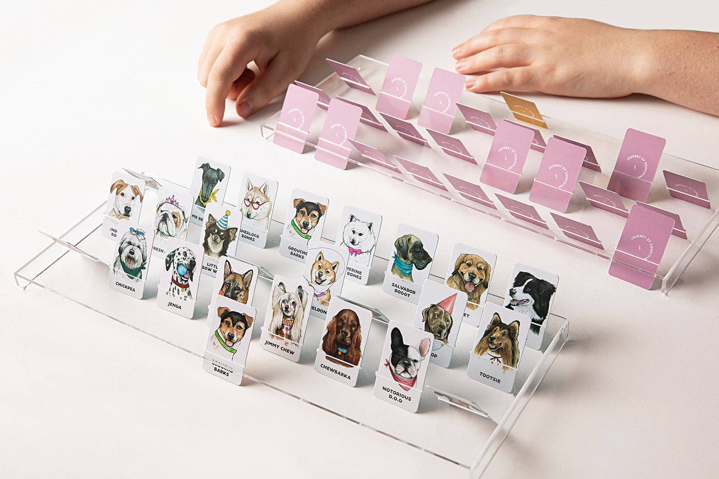 Jeu Devine le Chien? - Guess the Doggy Game - Journey Of Something