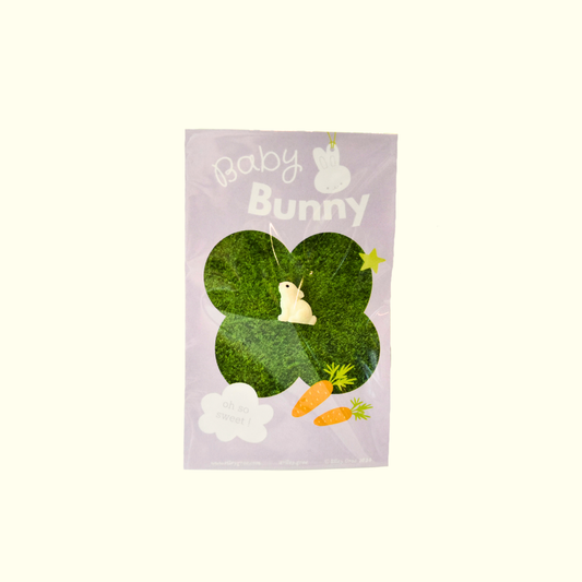 Lapin de poche - Baby Bunny - Riley Grae