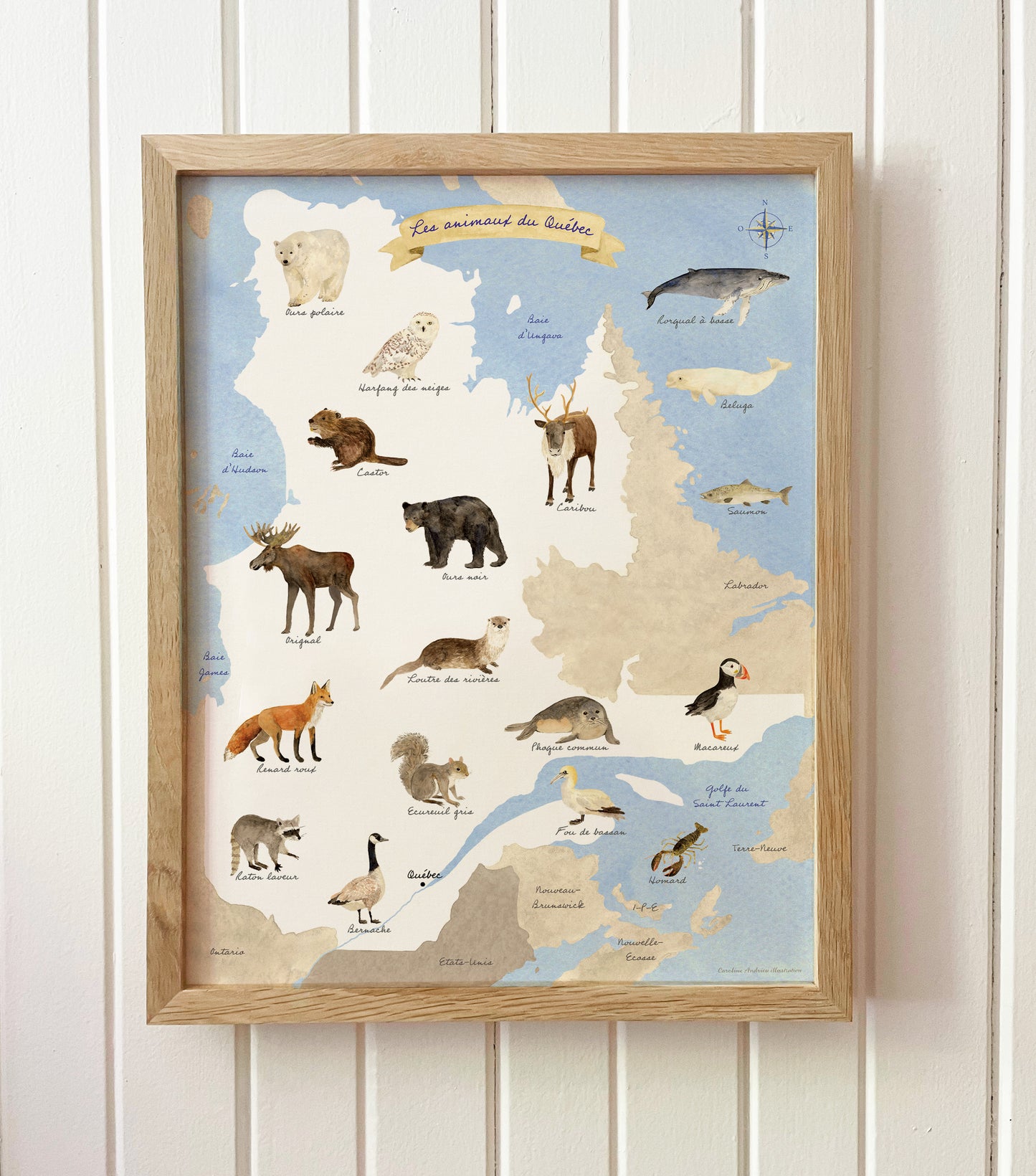 Affiche les animaux du Québec - Atelier Caroline Andrieu