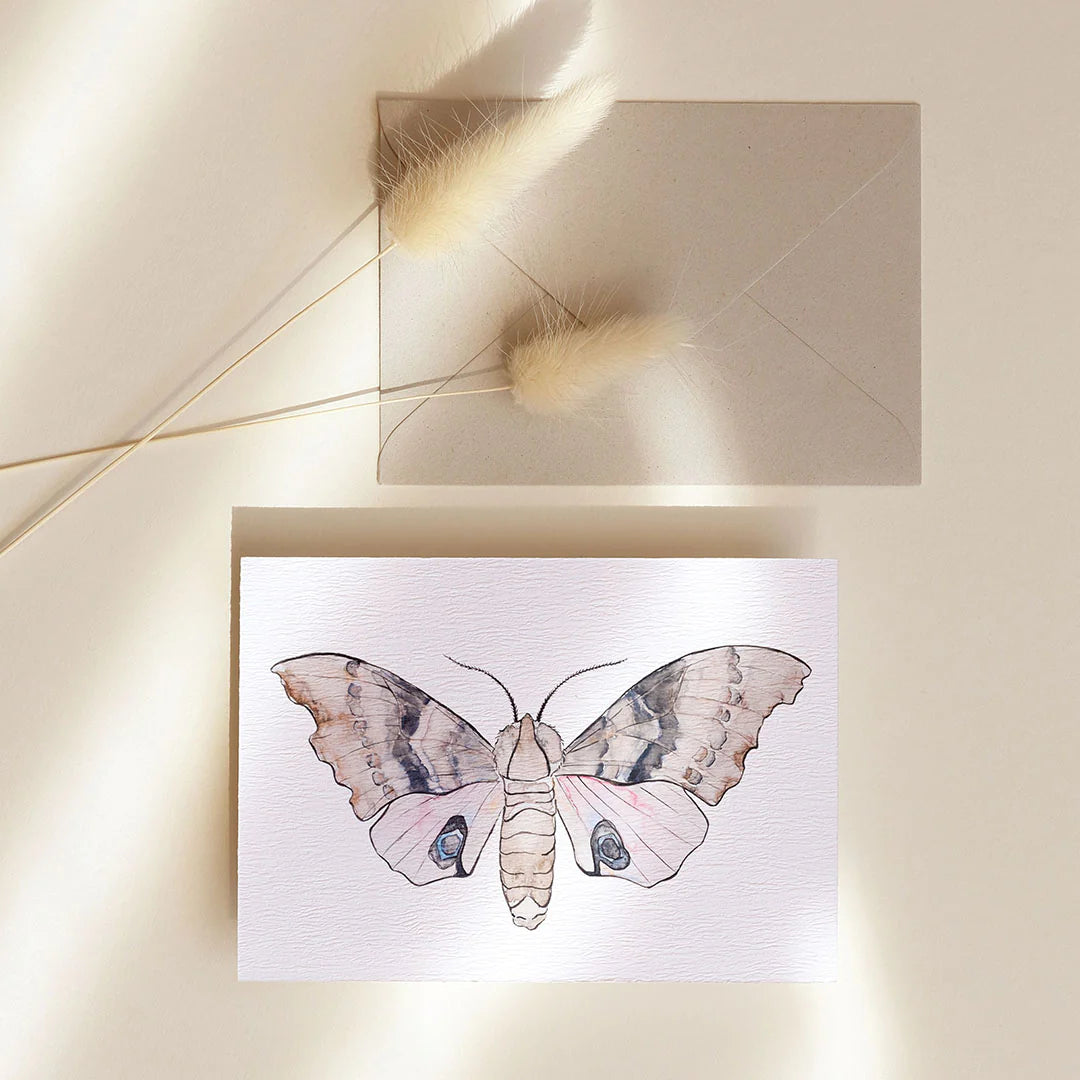 Collection Cartes de souhaits - Muguette Mtl
