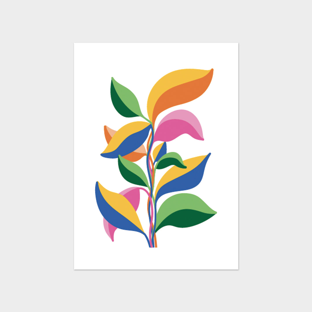 Illustrations cartes postales - Marine Poiraton