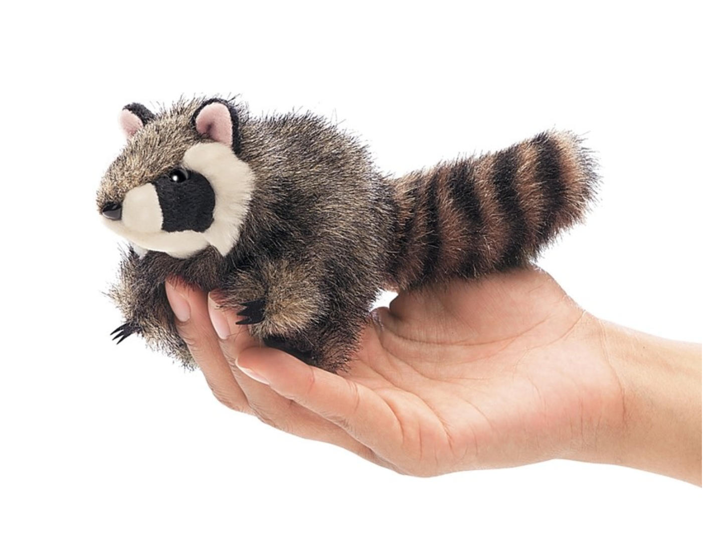 Mini racoon racoon puppet-Folkmanis