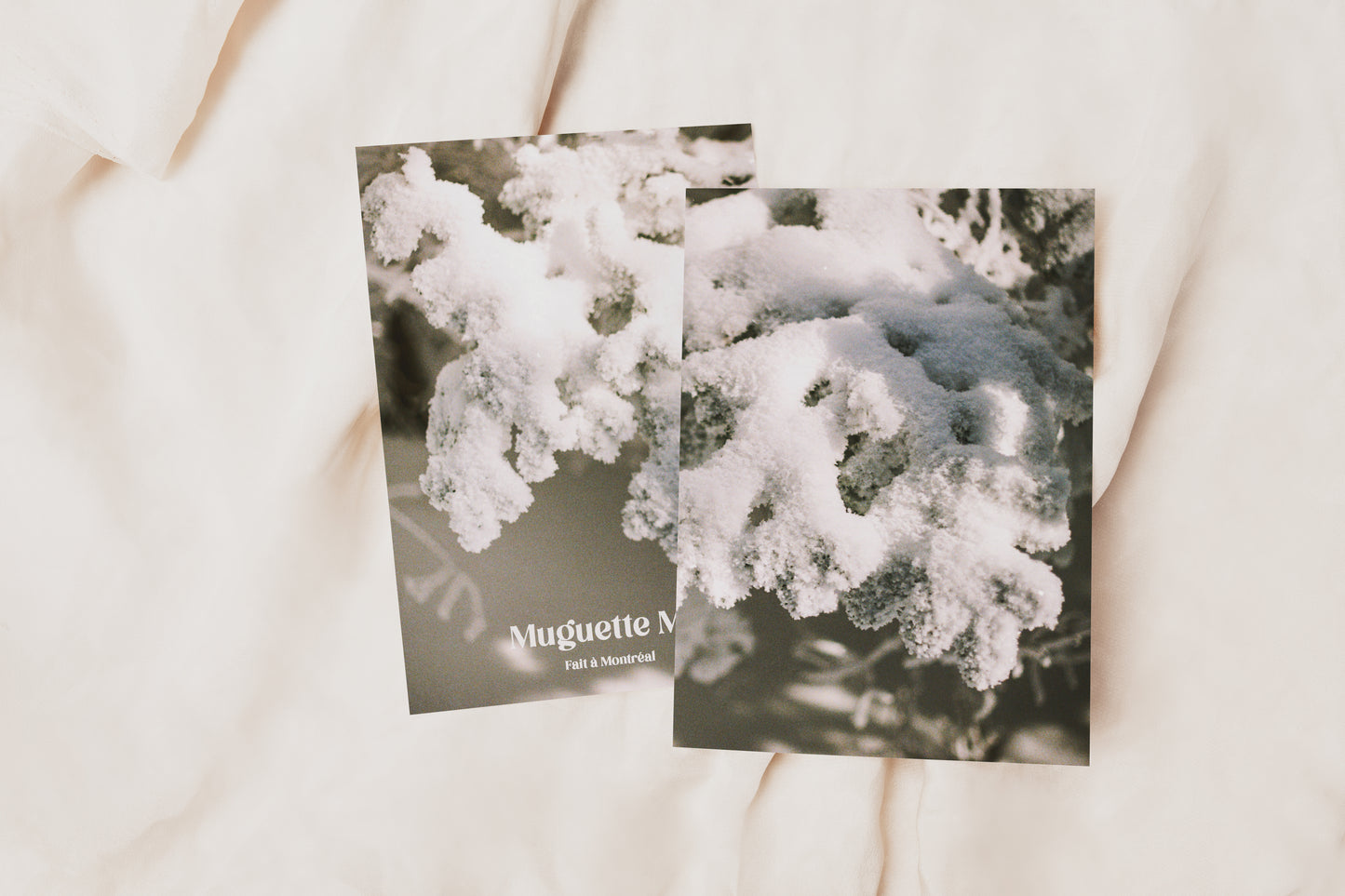 Collection Cartes de souhaits - Muguette Mtl