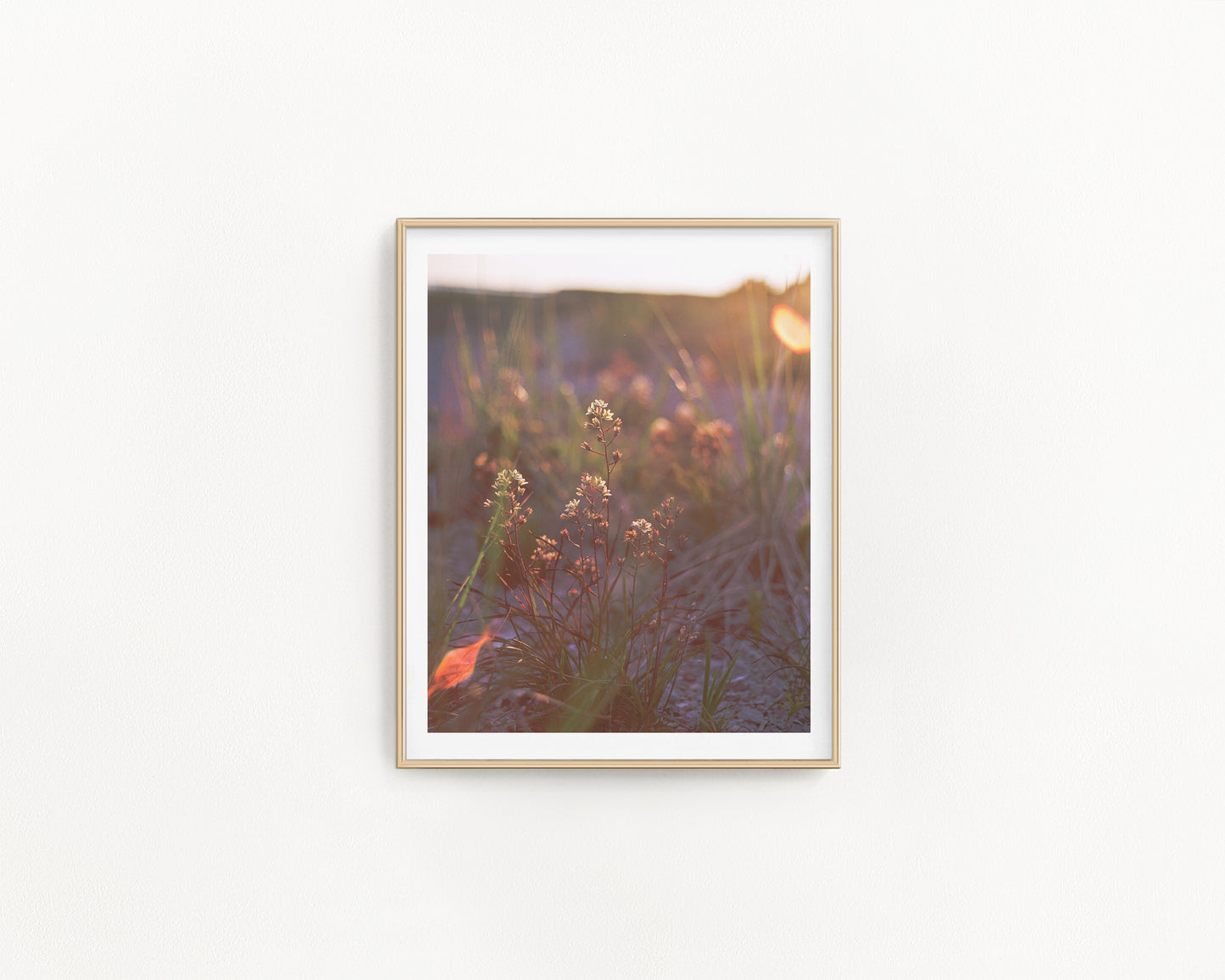 Collection Affiches 8 x 10 - Muguette Mtl