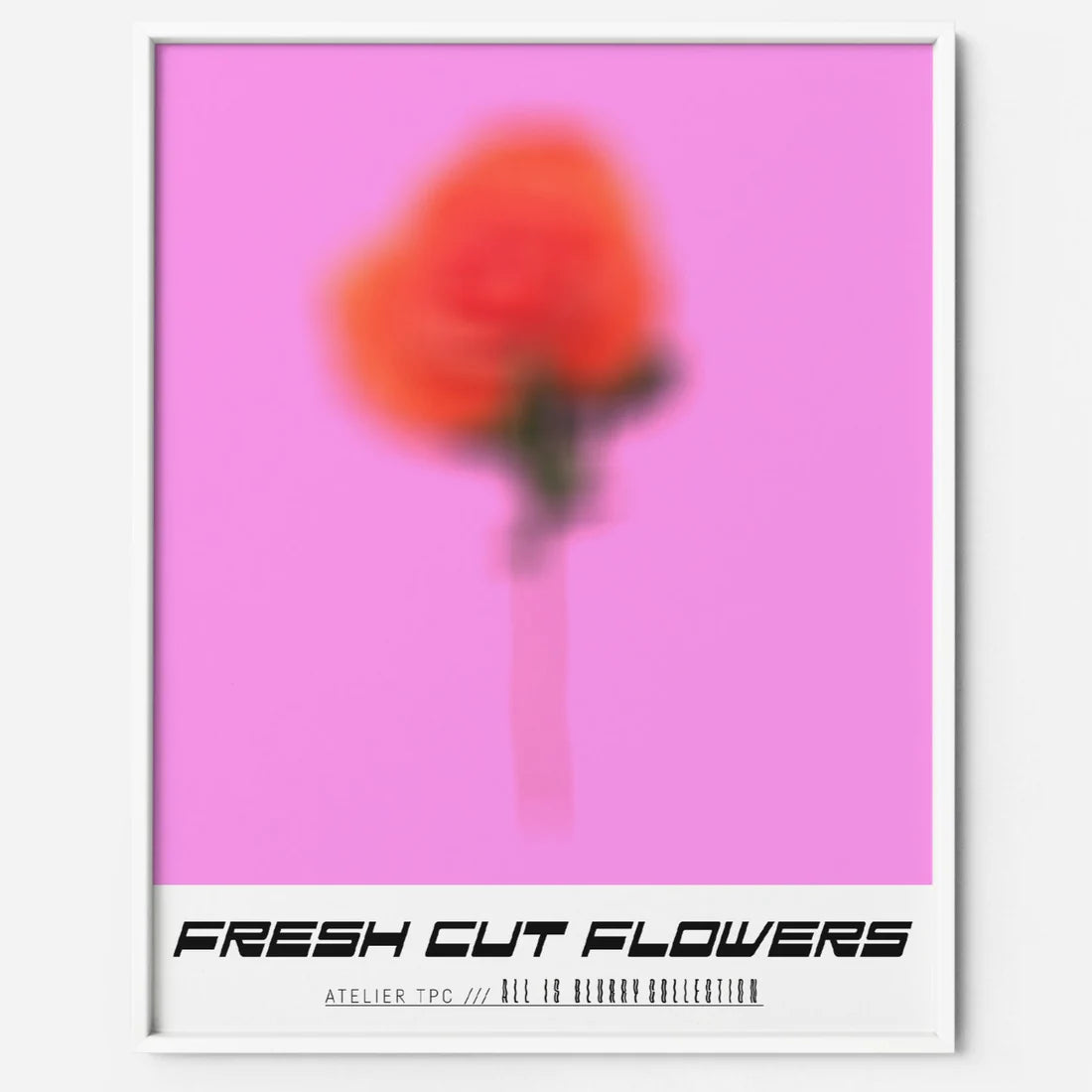 Collection Affiches - 12x16 po - TPC