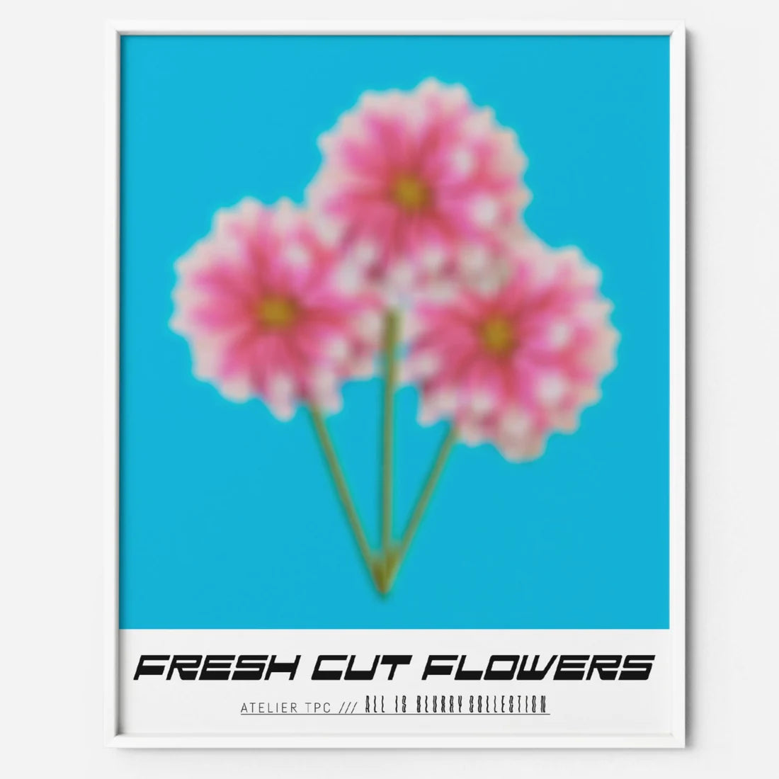 Collection Affiches - 12x16 po - TPC