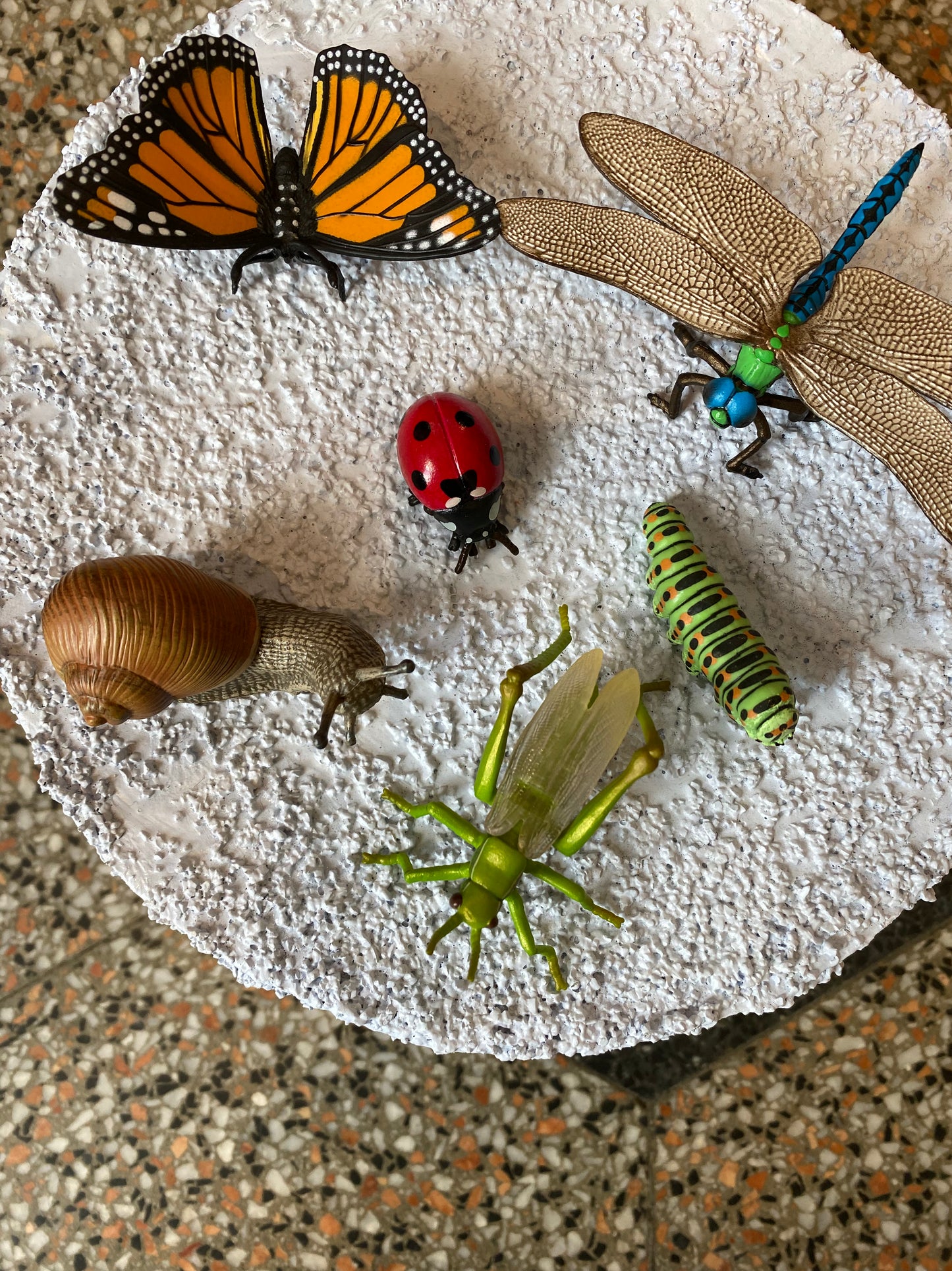 Insect Collection-Papo