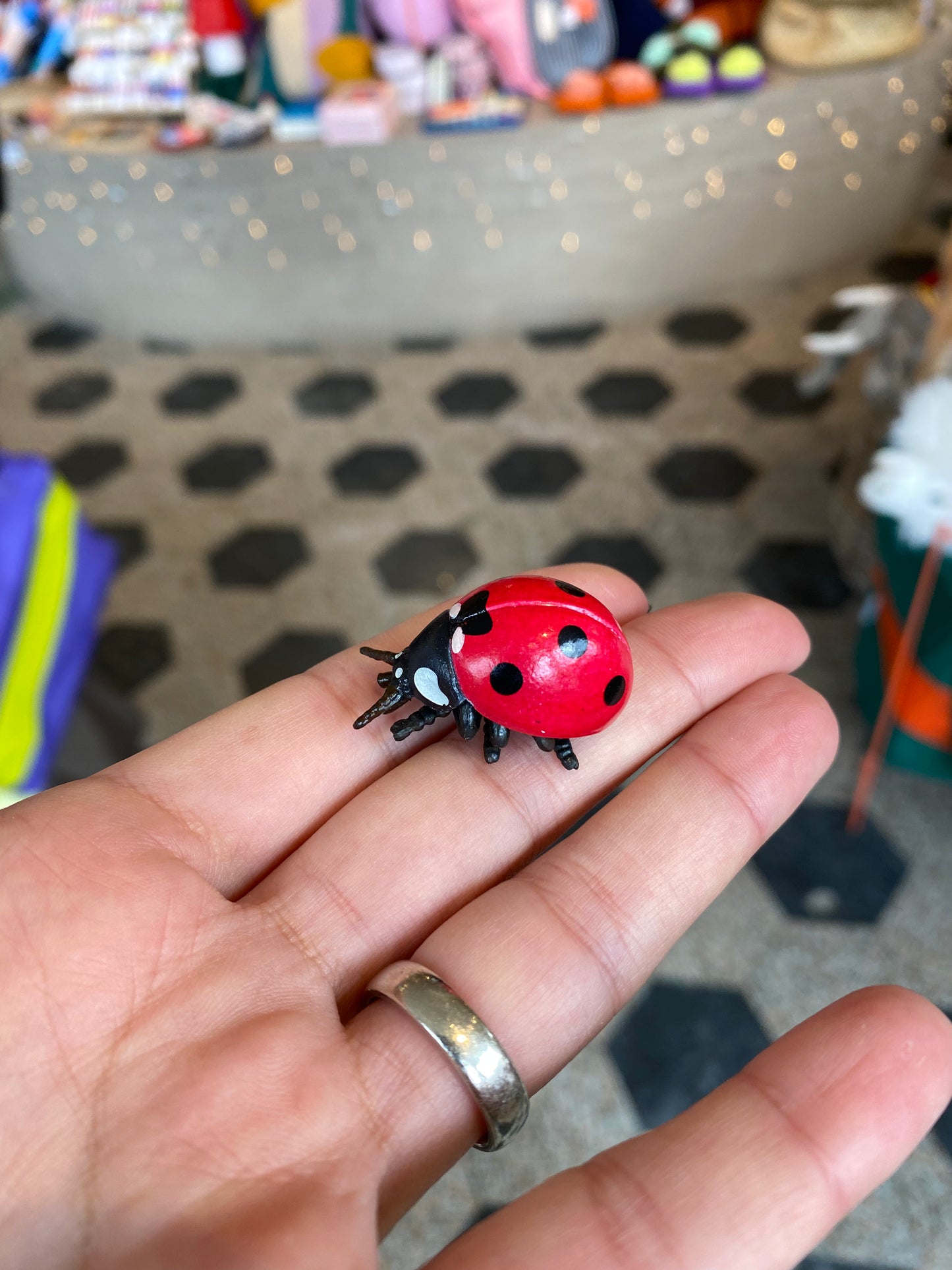 Insect Collection-Papo
