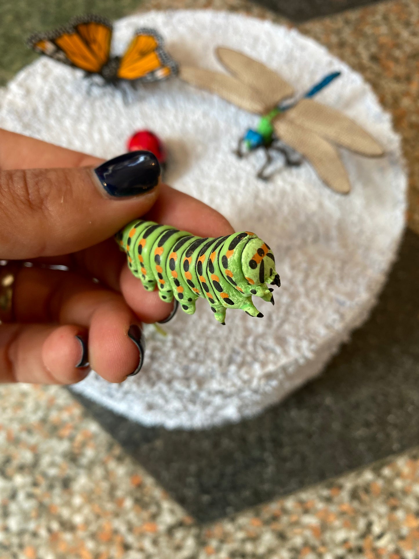 Insect Collection-Papo