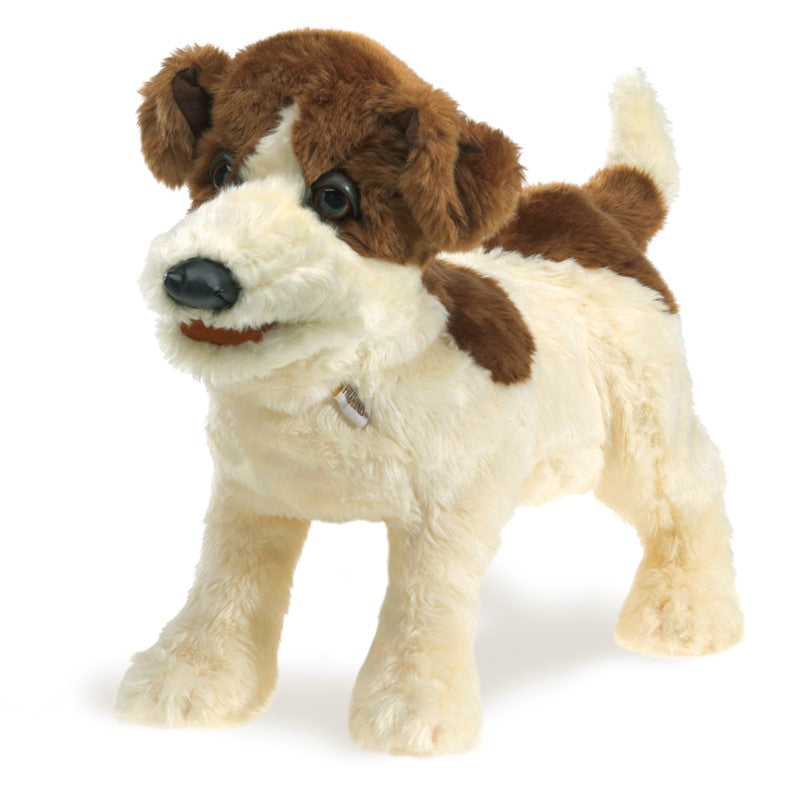 Marionnette Jack Russel - Folkmanis