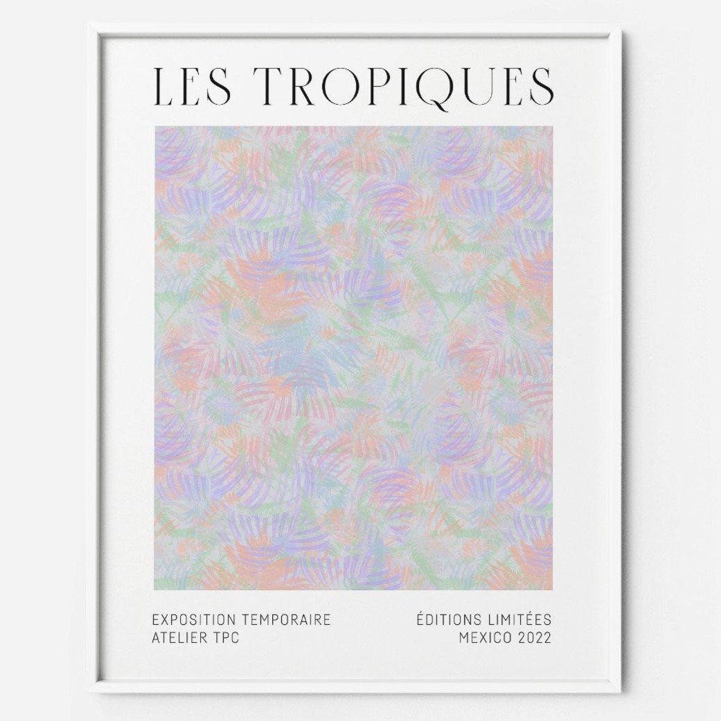 Illustration encadrée TPC - Les tropiques 1