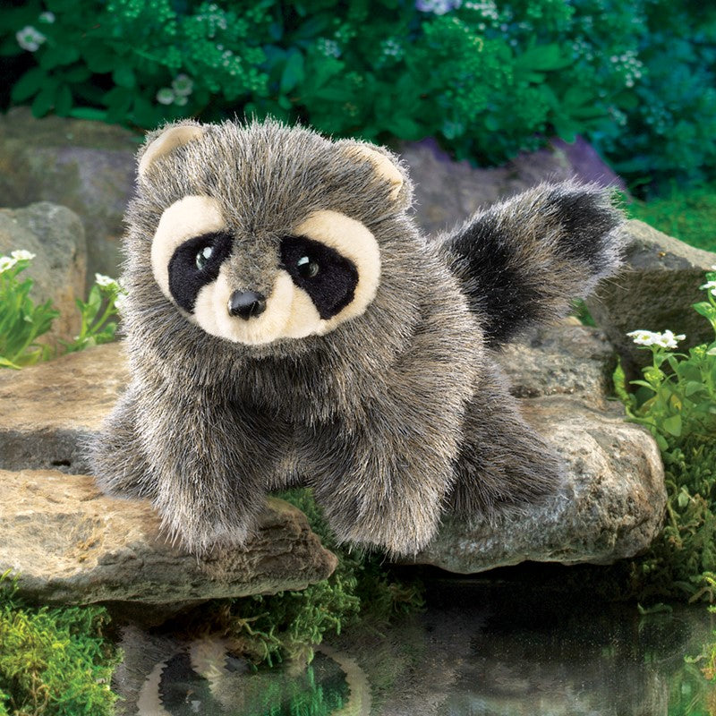 Marionnette Baby Raccoon (Bébé raton) - Folkmanis