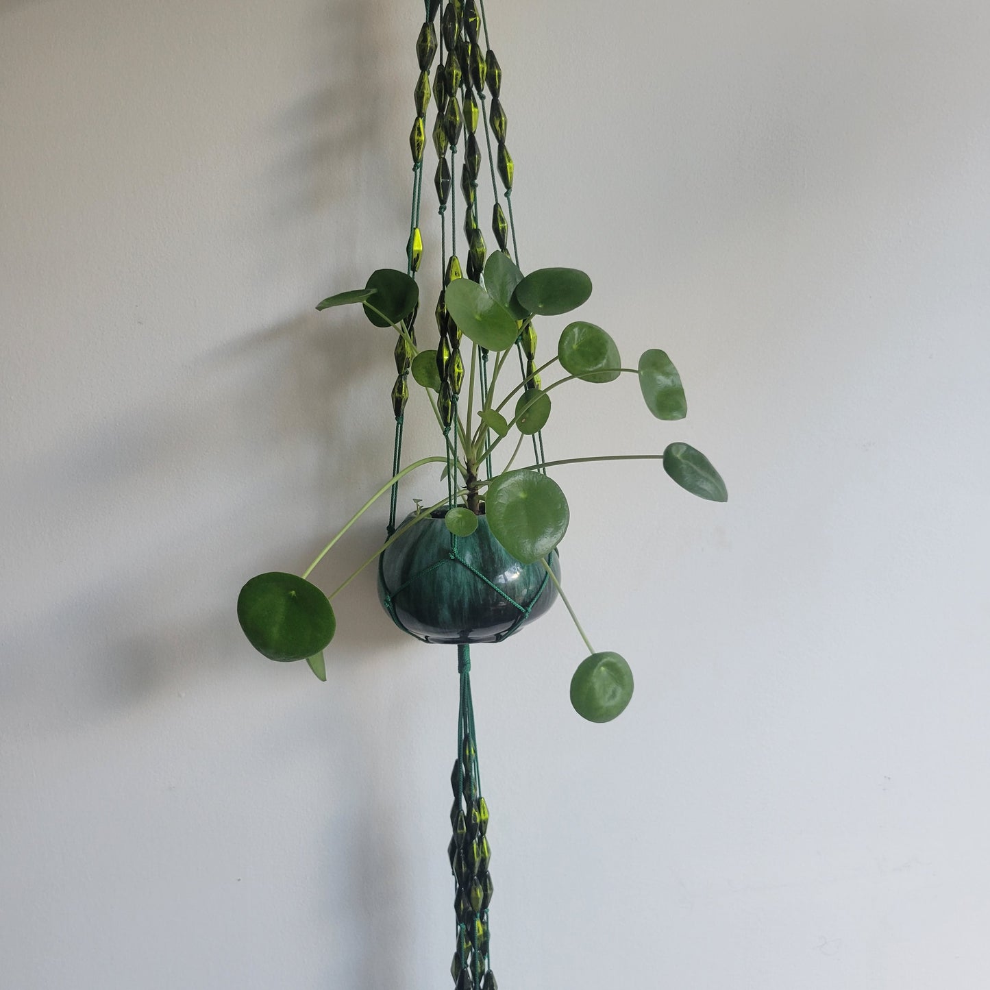 Macramé suspension with plant-Suspensy Fluo by Rhia
