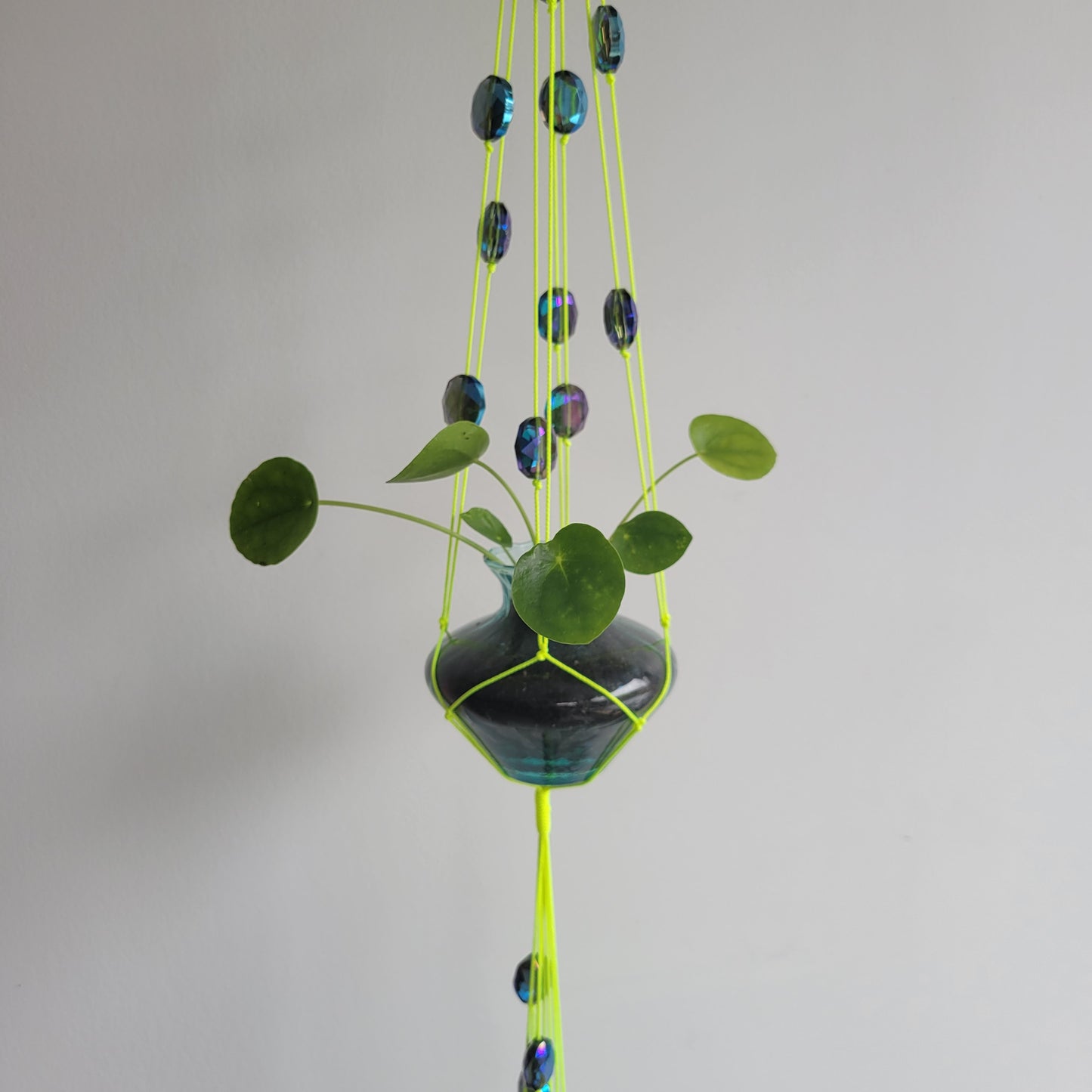 Macramé suspension avec plante - Suspense Fluo by Rhia