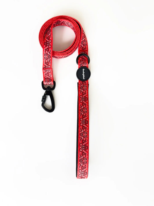 Laisse pour chien "Paisley" - The Dog Label