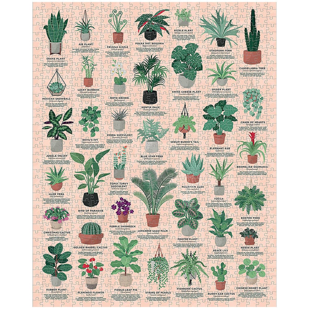 Casse-tête 1000 pièces House Plants 1000 Piece Puzzle - Galison