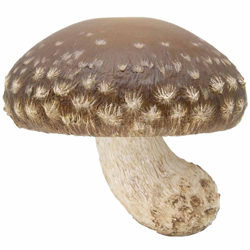 Breloque Mystere Champignon Mushroom Blind Box - Clever Idiots Inc.