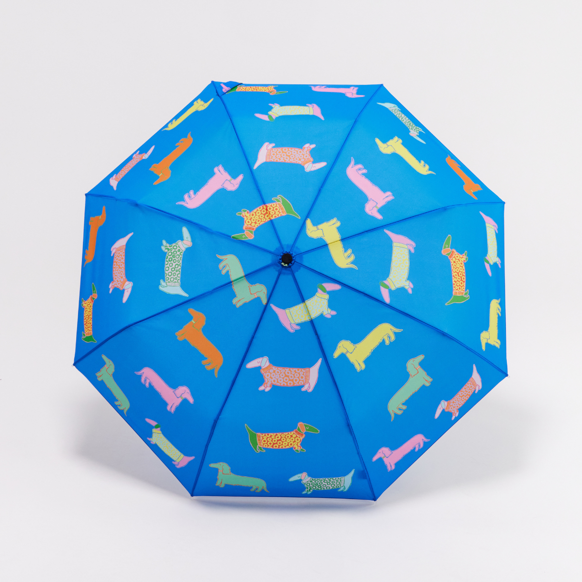 Parapluie Teckel Blue Dachshund - Original Duckhead