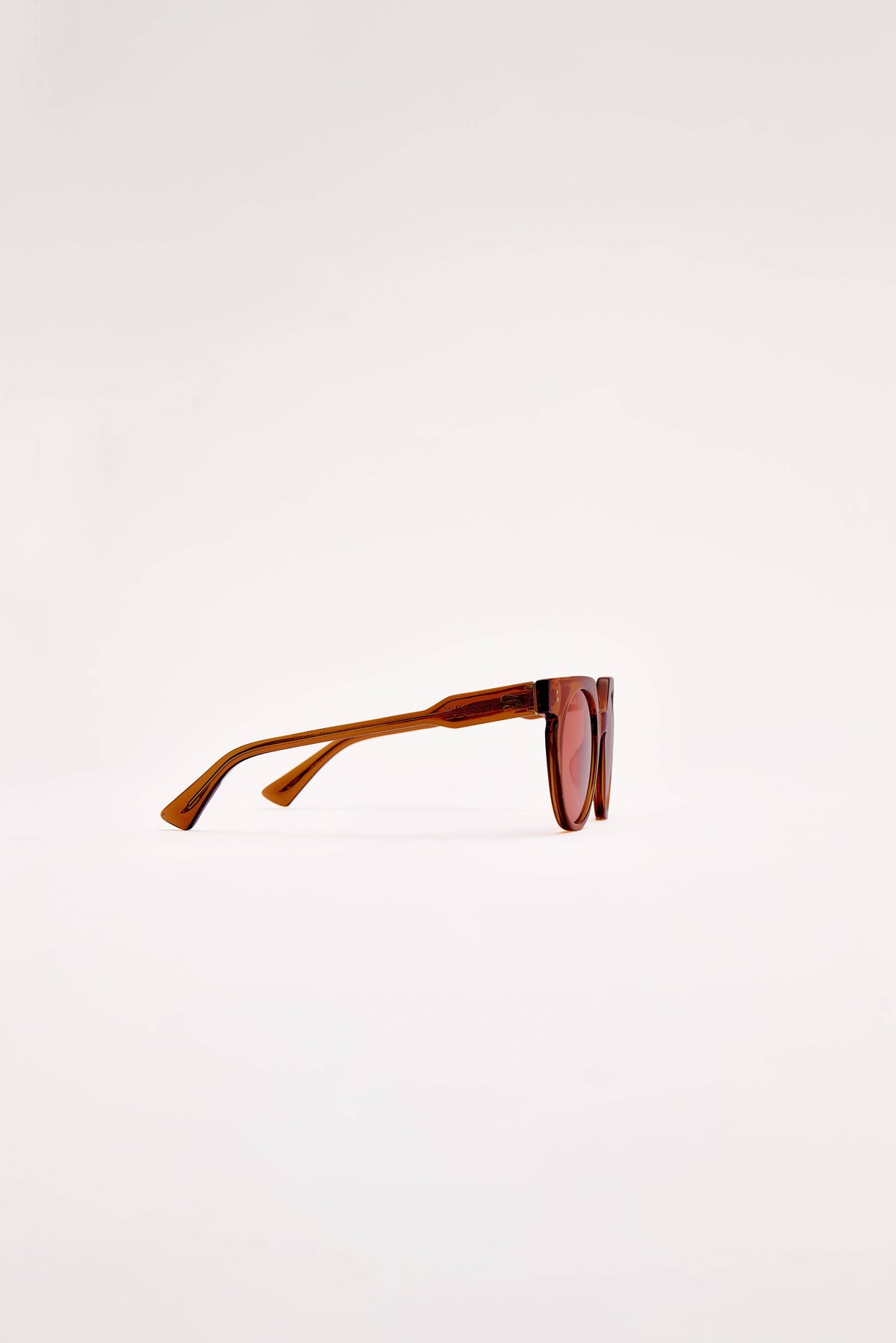 Lunettes Aster - Velvet Urchin - SARDINE