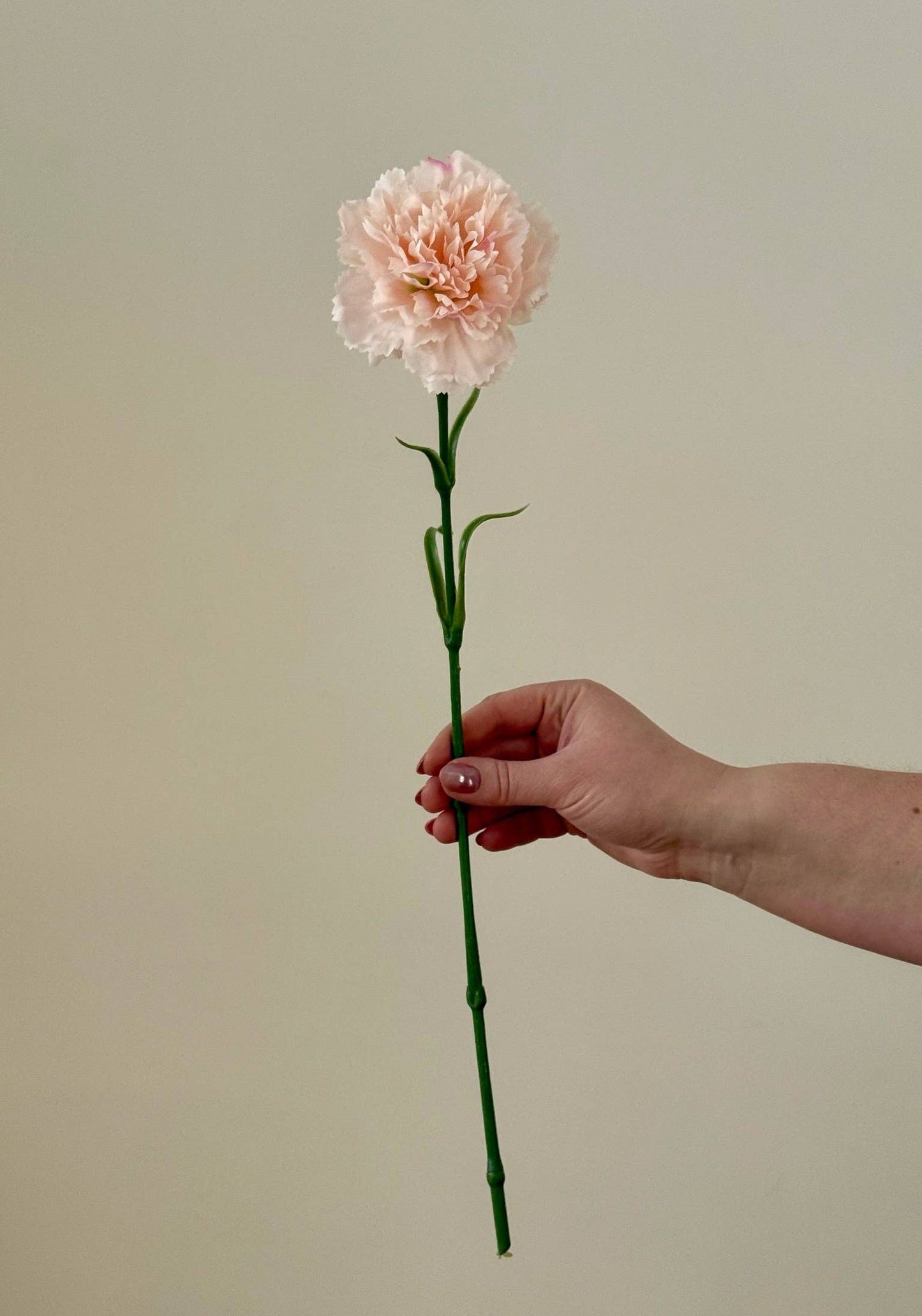 Fleurs artificielles 'Oeillet'' Artificial flowers - Eucalypt Co.