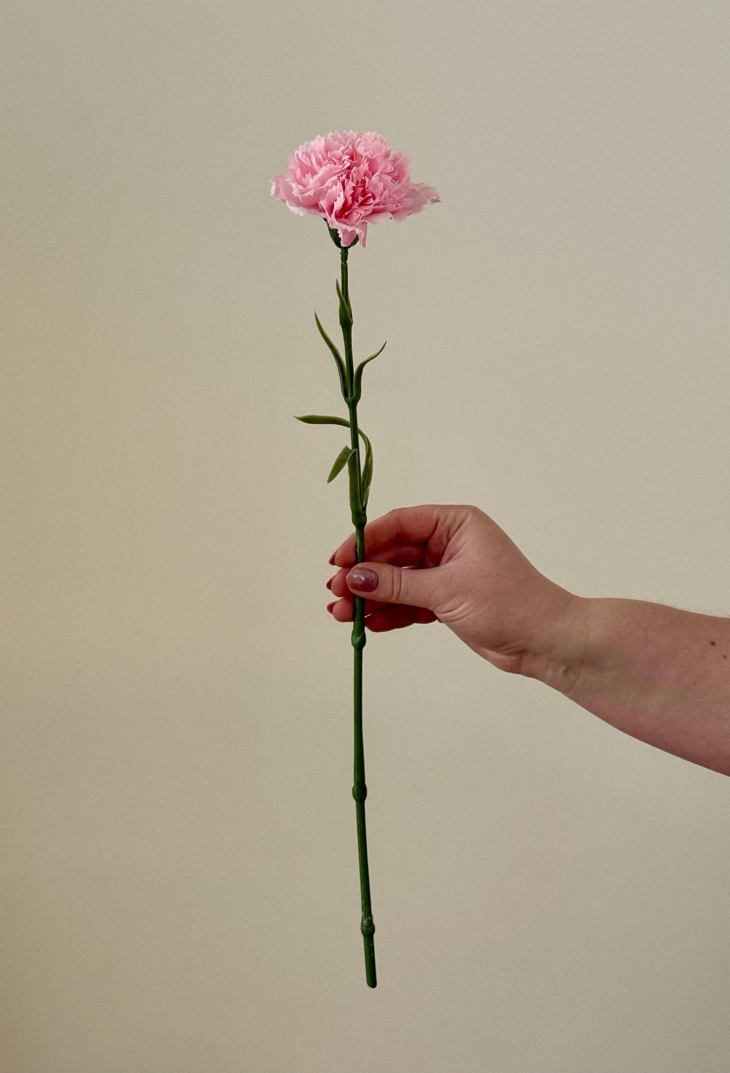 Fleurs artificielles 'Oeillet'' Artificial flowers - Eucalypt Co.
