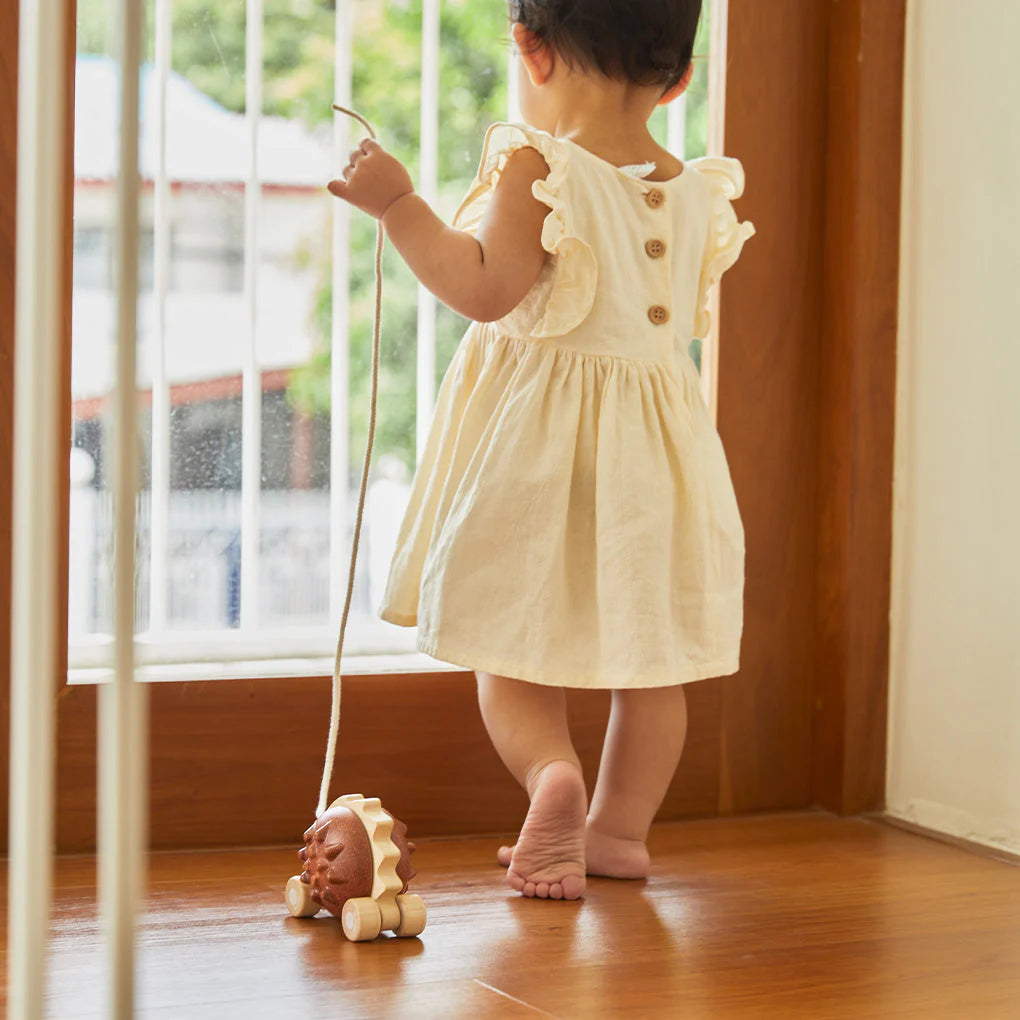 Hérisson à tirer - Pull-Along Hedgehog - PlanToys