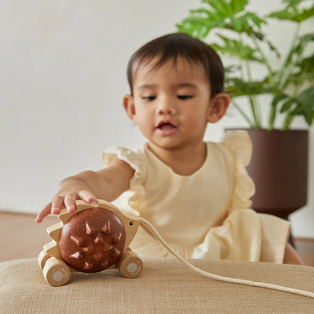 Hérisson à tirer - Pull-Along Hedgehog - PlanToys