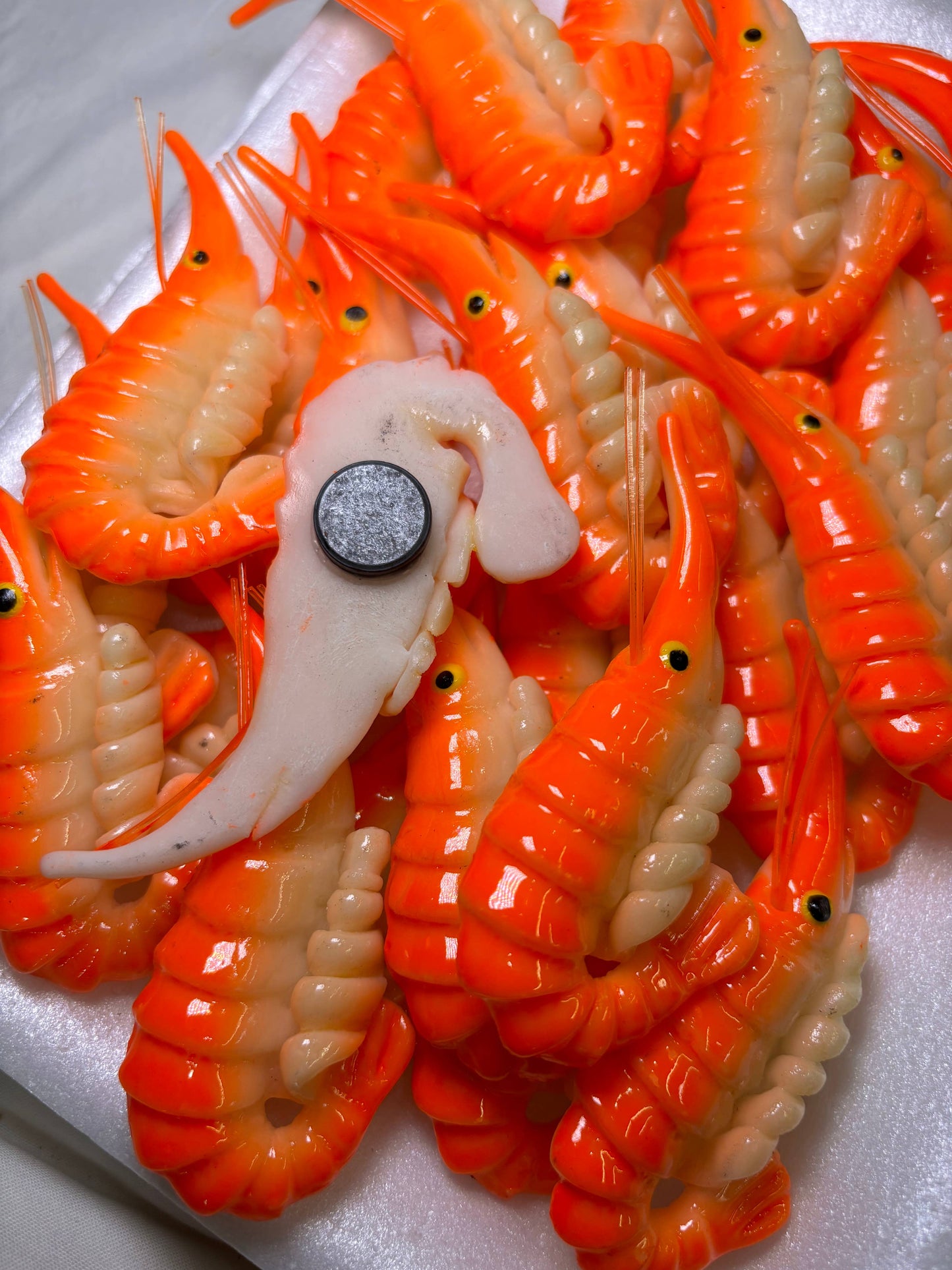 Aimant crevette SHRIMP Magnet - Magnets Market