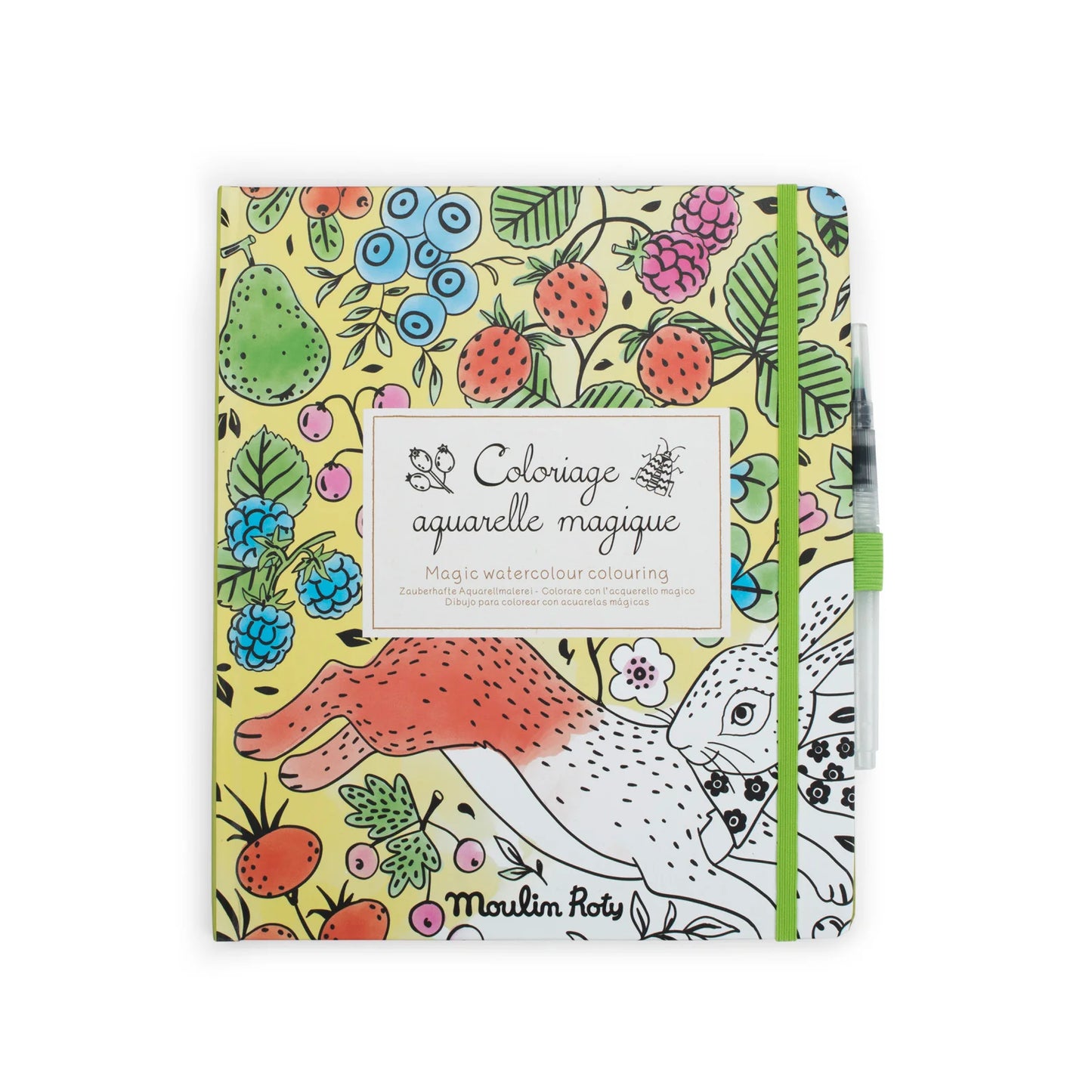Livre à colorier magique ''Le Botaniste'' Magic watercolour book - Moulin Roty
