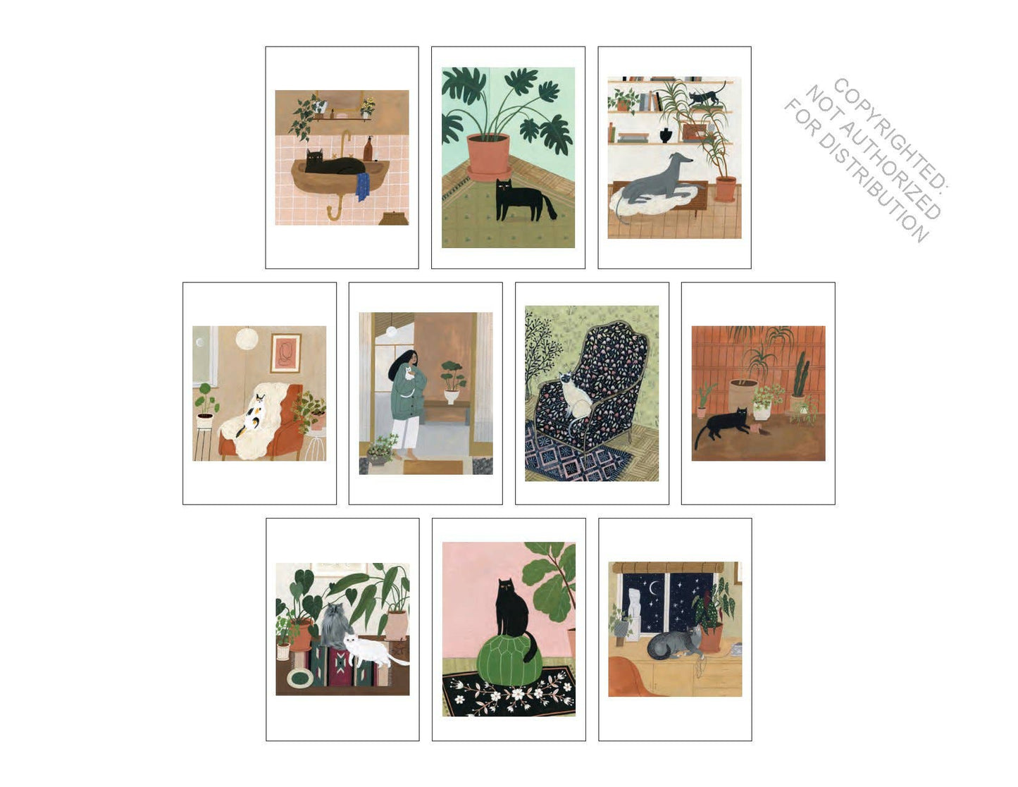 100 cartes postales Cat Box - Raincoast