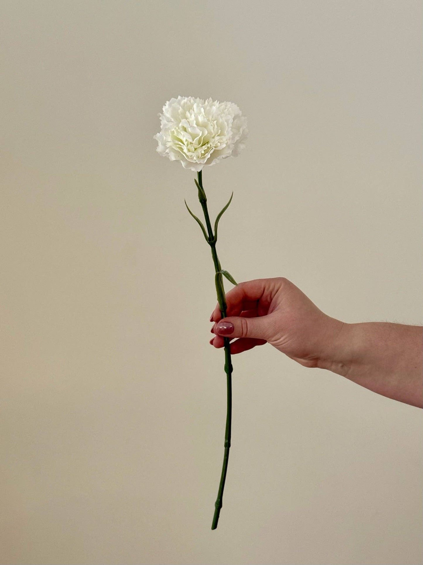 Fleurs artificielles 'Oeillet'' Artificial flowers - Eucalypt Co.