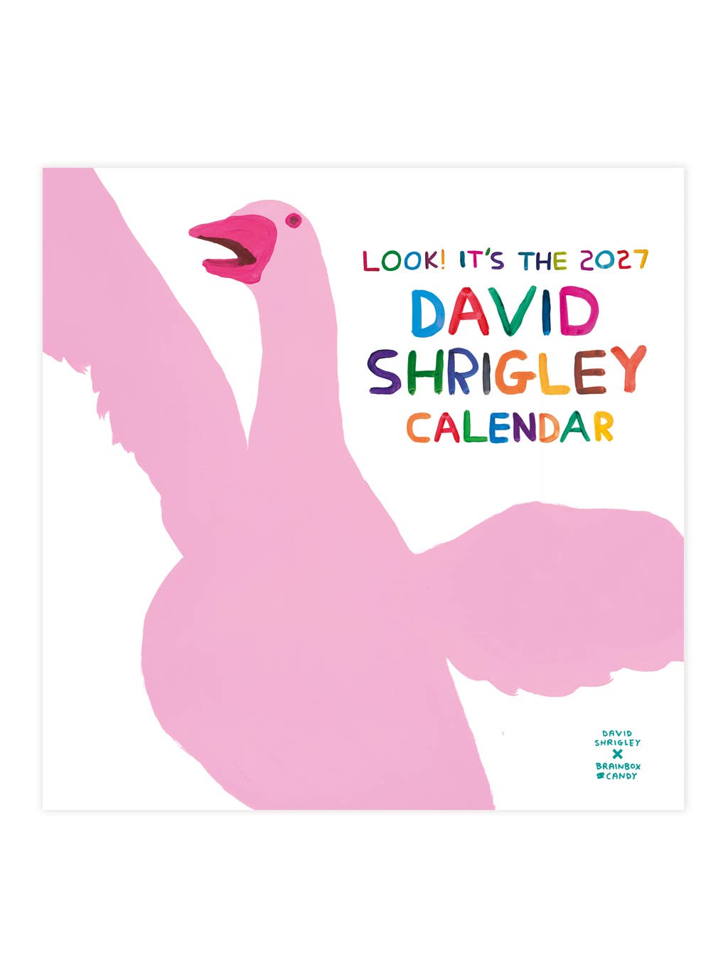 Calendrier 2027 - David Shrigley x Brainbox Candy