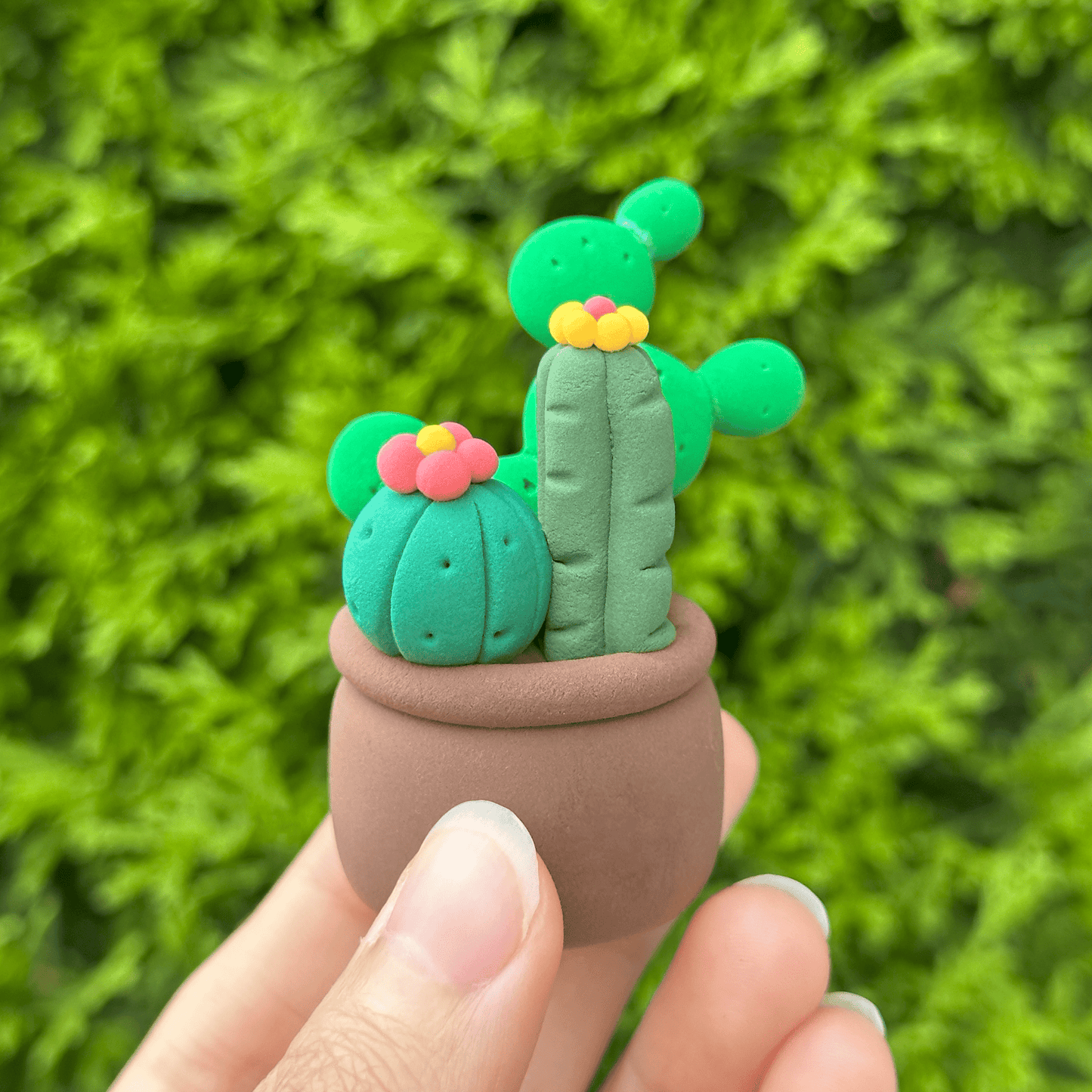 Kit diy argile auto durcissante -Cactus - Claymoo