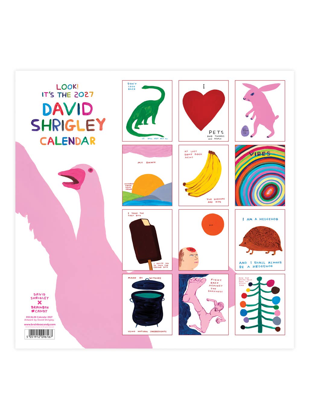 Calendrier 2027 - David Shrigley x Brainbox Candy