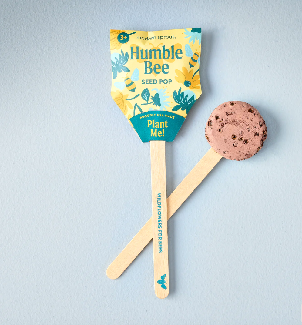 Seed Pops Pollinisateur - Modern Sprout