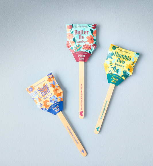 Seed Pops Pollinisateur - Modern Sprout