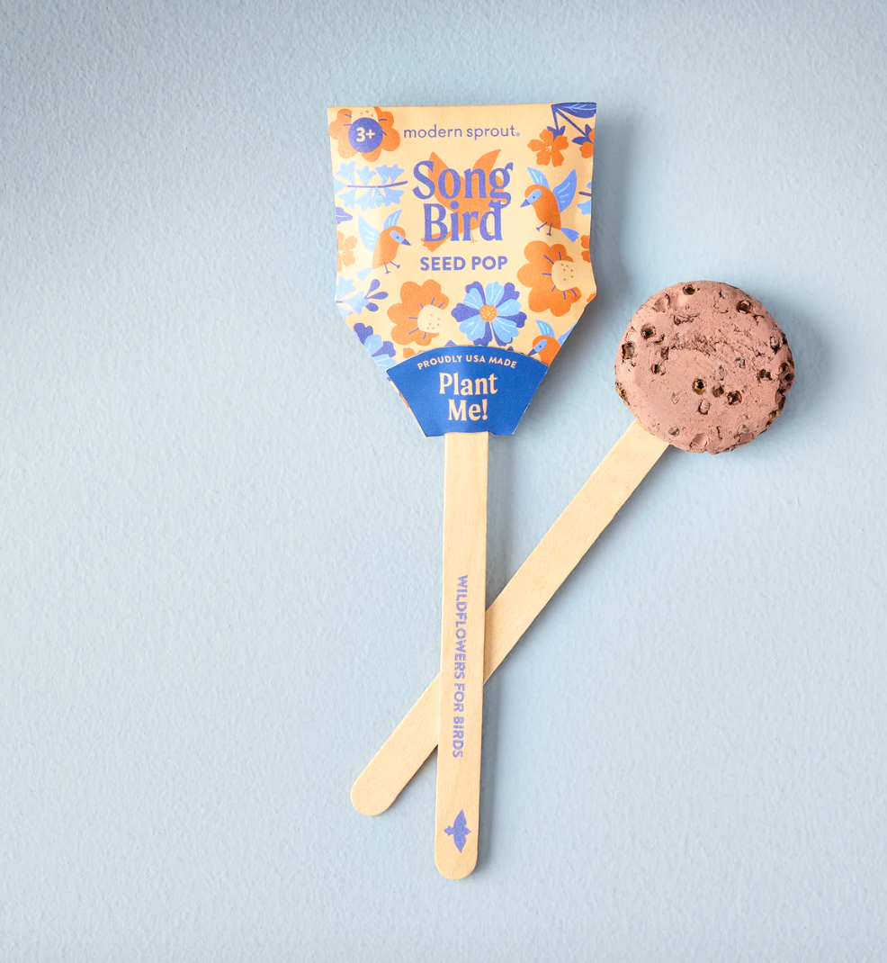 Seed Pops Pollinisateur - Modern Sprout